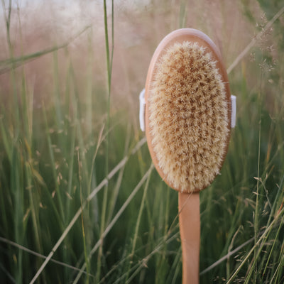 Croll & Denecke "Bathbrush" with Curved Handle