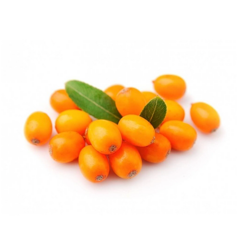 Muhle "Sea Buckthorn" Scheerzeep Refill - 65g